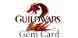 GW 2 Gem card Steam Key kaufen