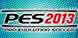 PES 2013 Steam Key kaufen