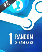 1 Random Steam Pc
