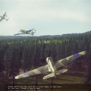 303 Squadron Battle of Britain - Tiefflug