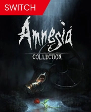 Amnesia Collection Switch