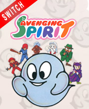 Avenging Spirit Switch