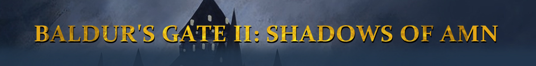 THE FOLLOW-UP: SHADOWS OF AMN