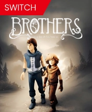 Brothers a Tale of Two Sons Switch