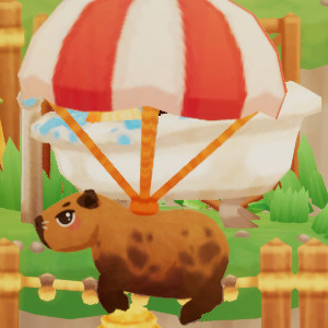 Capybara Spa - Fallschirm