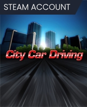 City Car Driving Pc