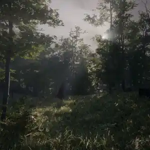 Dead Man’s Diary - Wald