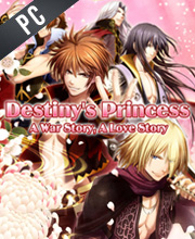 Destinys Princess A War Story A Love Story Pc