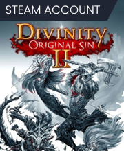 Divinity Original Sin 2 Pc