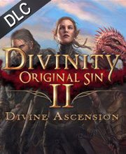 Divinity Original Sin 2 Divine Ascension