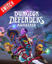 Dungeon Defenders Awakened Switch