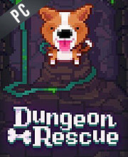 Fidel Dungeon Rescue Pc