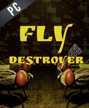 Fly Destroyer Pc