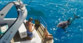 GTA 6 Könnte Schon Vier Monate Nach Konsolen-Release für PC Erscheinen
