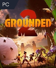 Grounded 2 Pc