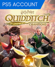 Harry Potter Quidditch Champions Playstation 5