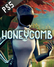 Honeycomb Playstation 5