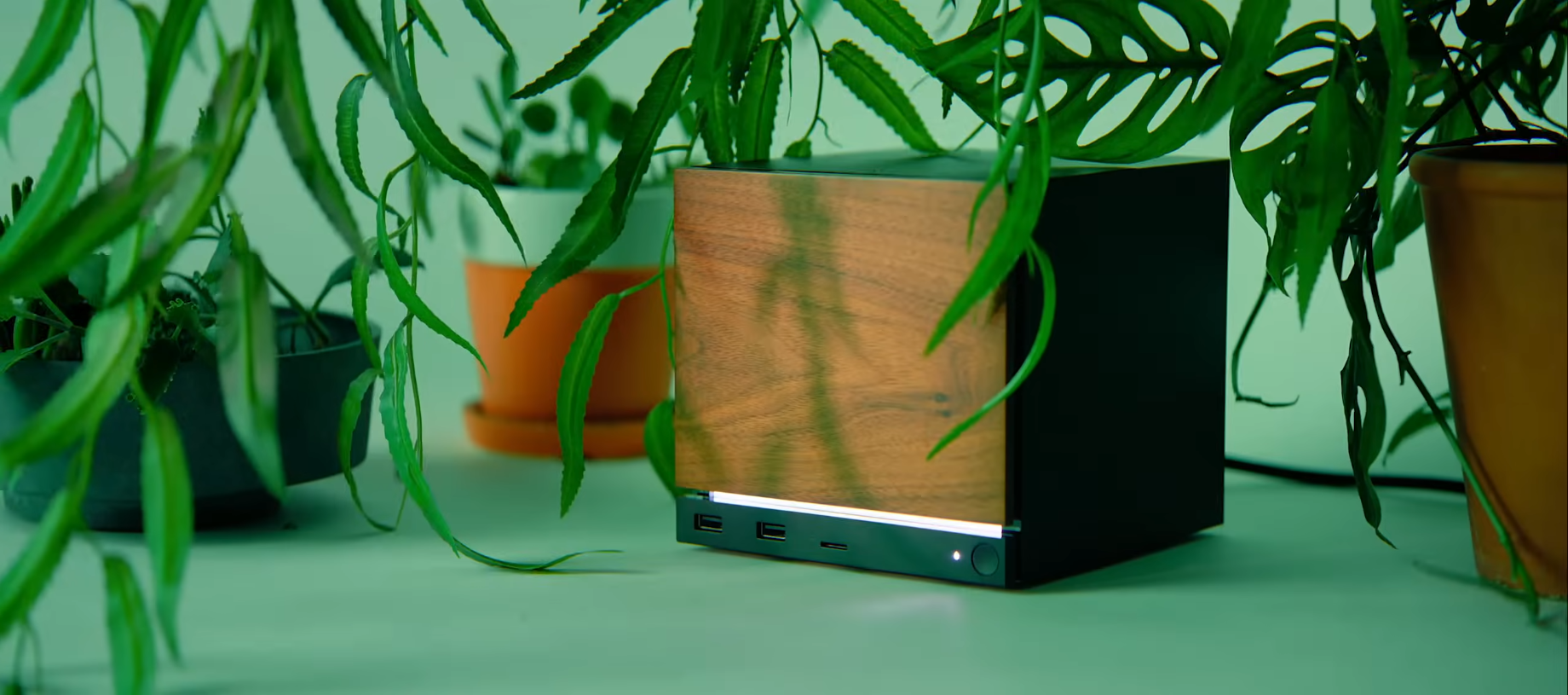 Steam Machine im Laub