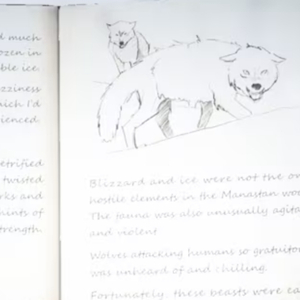 Kona 2 Brume Journal