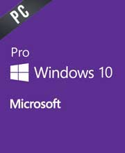 Windows 10 Professional
