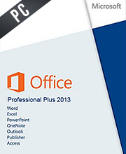 Microsoft Office 2013 Professional
