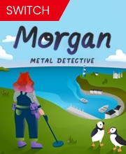 Morgan Metal Detective Switch
