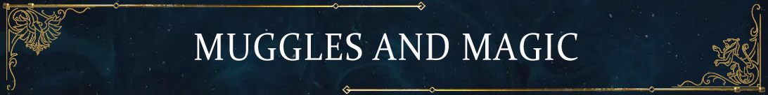 Muggel und Magie: Gamer sprechen über das Harry Potter-Universum