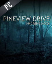 Pineview Drive Homeless