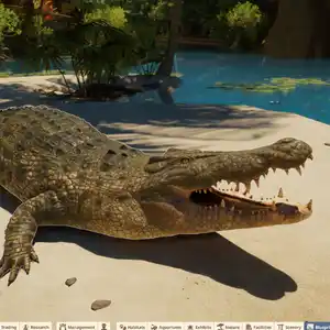 Planet Zoo 2 - Salzwasserkrokodil