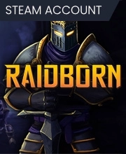 RAIDBORN Pc