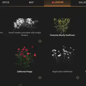 Ranger’s Path National Park Simulator - Lexikon