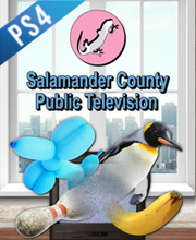 Salamander County Public Television Playstation 4