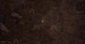Scavland verwandelt die brutale STALKER Survival-Mechanik in ein Top-Down-RPG