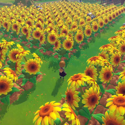 Song Of The Prairie - Sonnenblumenfeld