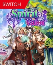 Spirit Valor Switch