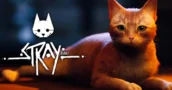 Stray: Sonderaktion Senkt den Preis für Massive Einsparungen