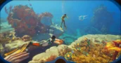 Subnautica 2 Early Access Kostet Weniger auf Offiziellen Key-Marktplätzen