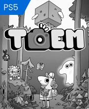 TOEM Playstation 5