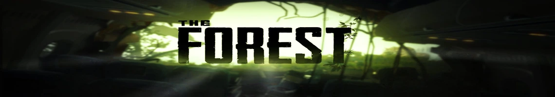EIN FURCHTERREGENDES UND MYSTERIÖSES KOOP-HORRORSPIEL: THE FOREST EIN FURCHTERREGENDES UND MYSTERIÖSES KOOP-HORRORSPIEL: THE FOREST