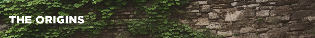 Die Ursprünge von Tomb Raider