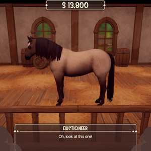 The Ranch of Rivershine - Auktion