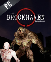 The Brookhaven Experiment