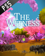 The Witness Playstation 5