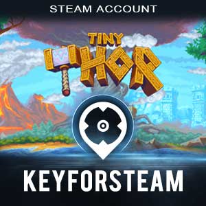 thor fortune casino