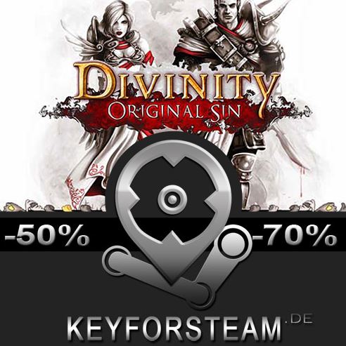 Wie man einen Divinity Original Sin Steam Key kauft