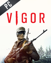Vigor Pc