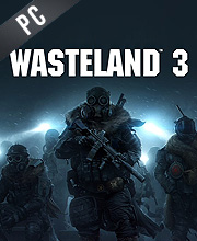 Wasteland 3