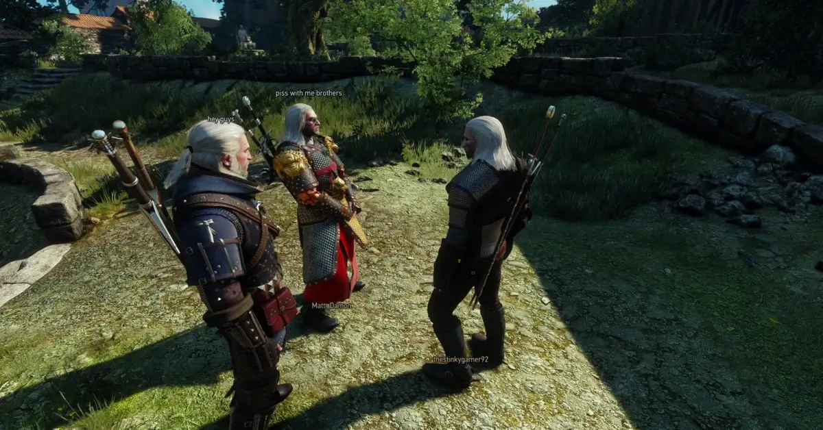 Witcher Online Mod verwandelt The Witcher 3 in ein Koop-Erlebnis