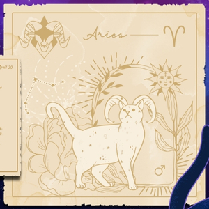 Zodiacats - Arianische Katzen