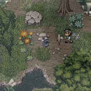 A Bird Story Fütterung der Vogel